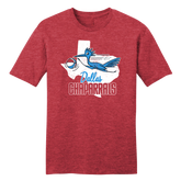 Dallas Chaparrals Alternate Design